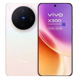 Vivo X300