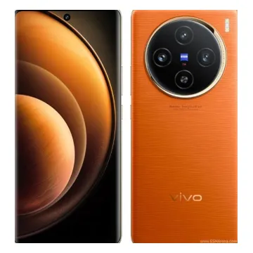 Vivo X100