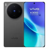 Vivo X300