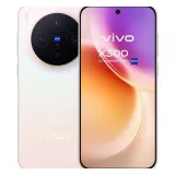 Vivo X300