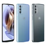 Motorola Moto G31